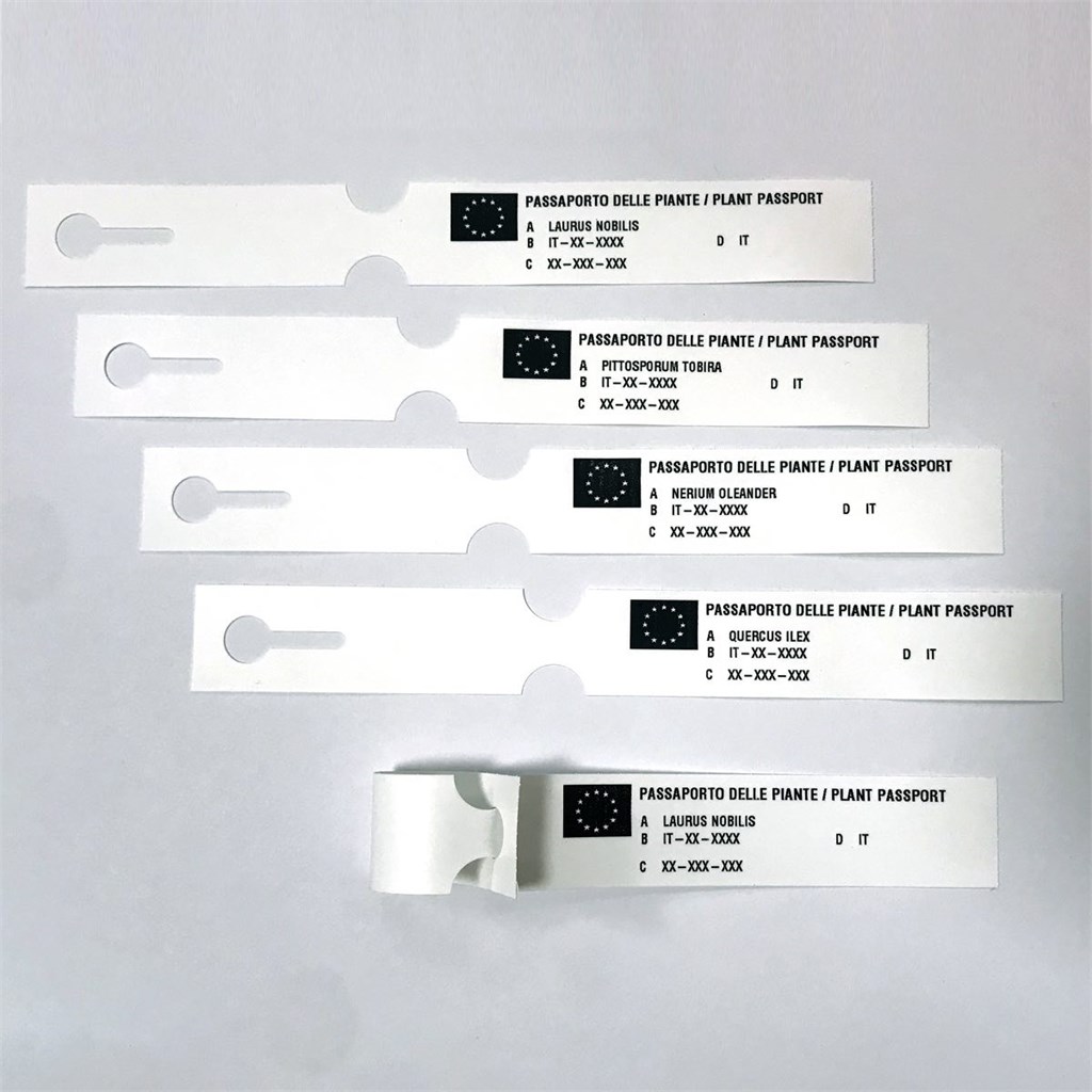 PASSAPORTO CON ASOLA STAMPATO CM 20X2,5